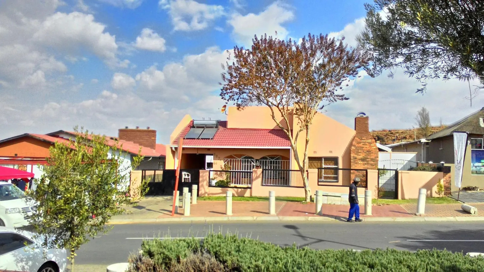 soweto-needs-more-trees