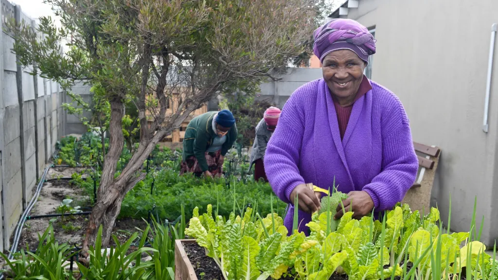 womens-gardening-project-empowers-community-in-khayelitsha